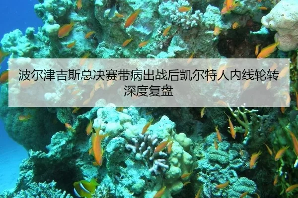 波尔津吉斯总决赛带病出战后凯尔特人内线轮转深度复盘