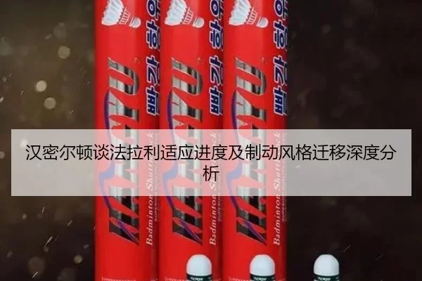 han-mi-er-dun-tan-fa-la-li-shi-ying-jin-du-ji-zhi-dong-feng-ge-qian-yi-shen-du-fen-xi-2-213.jpg