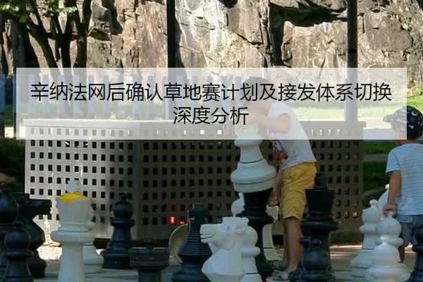 辛纳法网后确认草地赛计划及接发体系切换深度分析